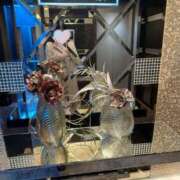 ヒメ日記 2026/03/06 12:28 投稿 けい 人妻倶楽部 内緒の関係 川越店