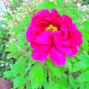 ヒメ日記 2026/04/10 13:08 投稿 けい 人妻倶楽部 内緒の関係 川越店