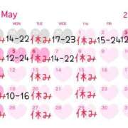 ヒメ日記 2025/04/24 14:02 投稿 いろは 京都ホテヘル倶楽部