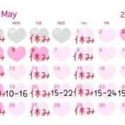 ヒメ日記 2025/05/14 23:02 投稿 いろは 京都ホテヘル倶楽部