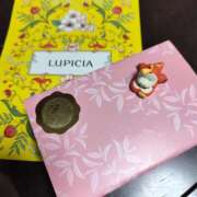 ヒメ日記 2025/03/13 01:30 投稿 せりな 京都ホテヘル倶楽部