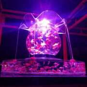 ヒメ日記 2025/06/19 21:15 投稿 せりな 京都ホテヘル倶楽部