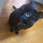 ヒメ日記 2025/10/02 21:15 投稿 せりな 京都ホテヘル倶楽部