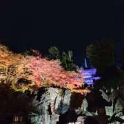 ヒメ日記 2025/12/04 20:45 投稿 せりな 京都ホテヘル倶楽部