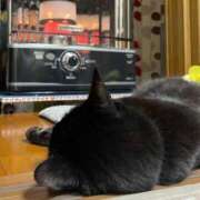 せりな そういえば君は どんな日だって 改札抜けて 振り返らなかった 京都ホテヘル倶楽部