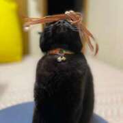 ヒメ日記 2026/01/21 23:00 投稿 せりな 京都ホテヘル倶楽部