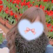 ヒメ日記 2026/02/02 11:50 投稿 せりな 京都ホテヘル倶楽部