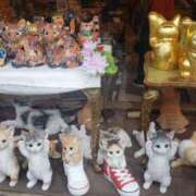 ヒメ日記 2026/02/22 12:16 投稿 せりな 京都ホテヘル倶楽部