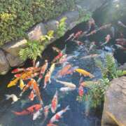 ヒメ日記 2026/03/23 20:15 投稿 せりな 京都ホテヘル倶楽部