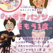 かすみ お知らせでっす 熟女の風俗最終章 仙台店