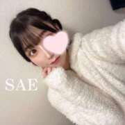 ヒメ日記 2025/03/17 00:54 投稿 本田さえ ブルーバード