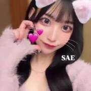 ヒメ日記 2025/03/17 19:34 投稿 本田さえ ブルーバード