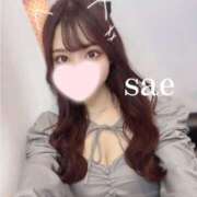 ヒメ日記 2025/03/18 02:44 投稿 本田さえ ブルーバード