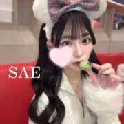 ヒメ日記 2025/03/20 00:24 投稿 本田さえ ブルーバード