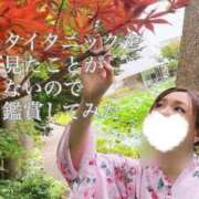 ヒメ日記 2024/12/27 06:15 投稿 しお 逆バニーメンズエステ とろとろオイルSPA