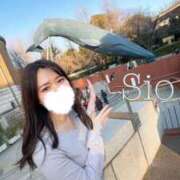 ヒメ日記 2025/04/18 06:15 投稿 しお 逆バニーメンズエステ とろとろオイルSPA