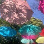 ヒメ日記 2025/05/16 20:16 投稿 しお 逆バニーメンズエステ とろとろオイルSPA