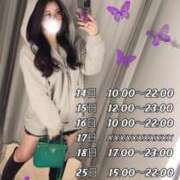 ヒメ日記 2024/12/19 18:09 投稿 KAGUYA TALL