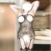 ヒメ日記 2026/03/29 11:19 投稿 KAGUYA TALL