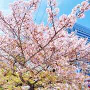 佐々木　ミオ 明日は久々の一日中オフ日♡ セレブクィーン