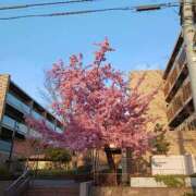 ヒメ日記 2025/03/13 18:00 投稿 安奈 出会い系人妻ネットワーク 上野〜大塚編