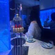 ヒメ日記 2025/02/24 21:31 投稿 あすか まだ舐めたくて学園渋谷校〜舐めたくてグループ〜