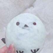 ヒメ日記 2025/06/11 21:21 投稿 ゆゆ ポッキリ学園 ～モテモテハーレムごっこ～