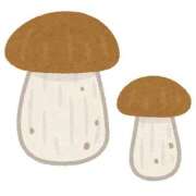 ヒメ日記 2025/09/29 13:41 投稿 ゆゆ ポッキリ学園 ～モテモテハーレムごっこ～