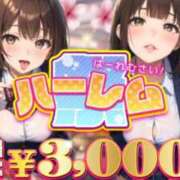 ヒメ日記 2025/10/21 21:51 投稿 ゆゆ ポッキリ学園 ～モテモテハーレムごっこ～