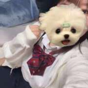 ヒメ日記 2025/11/13 12:11 投稿 ゆゆ ポッキリ学園 ～モテモテハーレムごっこ～