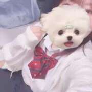 ヒメ日記 2026/03/18 16:51 投稿 ゆゆ ポッキリ学園 ～モテモテハーレムごっこ～