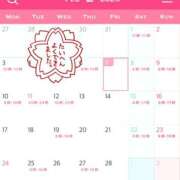 ヒメ日記 2025/02/07 19:18 投稿 あすか ケープエンジェル