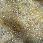 ヒメ日記 2025/08/08 09:35 投稿 あすか ケープエンジェル