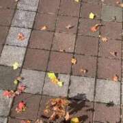 ヒメ日記 2025/11/03 12:50 投稿 なな ビデオdeはんど すすきの校