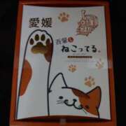 ヒメ日記 2026/09/13 19:37 投稿 北乃ひかり こあくまな熟女たち岩国店(KOAKUMAグループ)