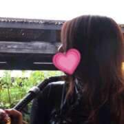 ヒメ日記 2026/01/20 08:58 投稿 蘭香織【女王様♡】 マドンナSANSAIN