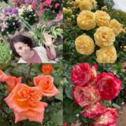 ヒメ日記 2025/05/18 15:02 投稿 大城（おおしろ） 熟女の風俗最終章 名古屋店