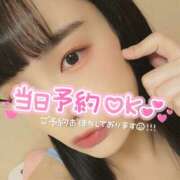 ヒメ日記 2025/04/03 06:10 投稿 うずら ハピネス東京