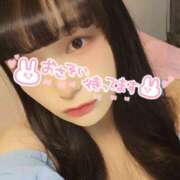 ヒメ日記 2025/04/06 06:08 投稿 うずら ハピネス東京