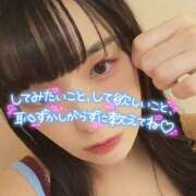 ヒメ日記 2025/04/06 15:39 投稿 うずら ハピネス東京