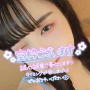 ヒメ日記 2025/04/24 14:08 投稿 うずら ハピネス東京