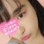 ヒメ日記 2025/05/06 18:08 投稿 うずら ハピネス東京