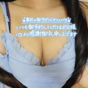 ヒメ日記 2025/05/24 11:07 投稿 うずら ハピネス東京