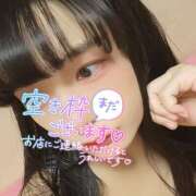 ヒメ日記 2025/06/08 15:37 投稿 うずら ハピネス東京