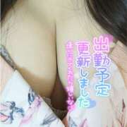 ヒメ日記 2025/06/14 15:07 投稿 うずら ハピネス東京