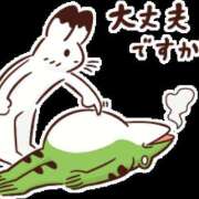 ヒメ日記 2025/06/16 00:27 投稿 うずら ハピネス東京