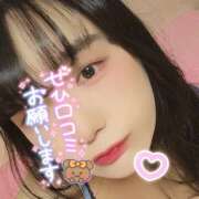 ヒメ日記 2025/06/28 12:08 投稿 うずら ハピネス東京