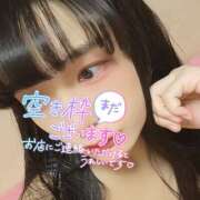 ヒメ日記 2025/07/10 06:07 投稿 うずら ハピネス東京