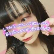 ヒメ日記 2025/07/12 12:11 投稿 うずら ハピネス東京