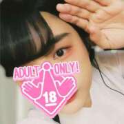 ヒメ日記 2025/07/27 06:07 投稿 うずら ハピネス東京